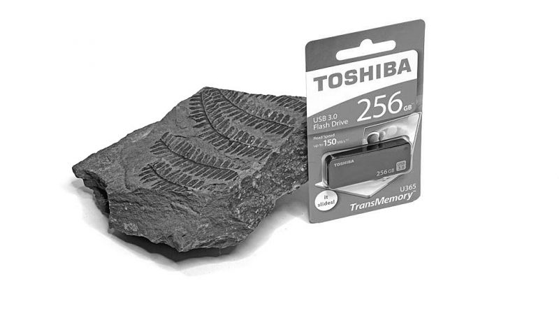 Toshiba TransMemory U365 USB-Stick