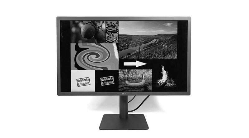 LG-Display für Macs